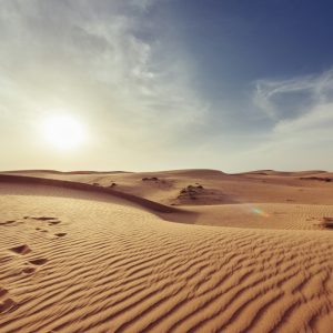 Balão de Ar Quente no Deserto
