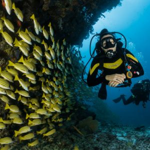 Lost Chambers Aquarium — Atlantis